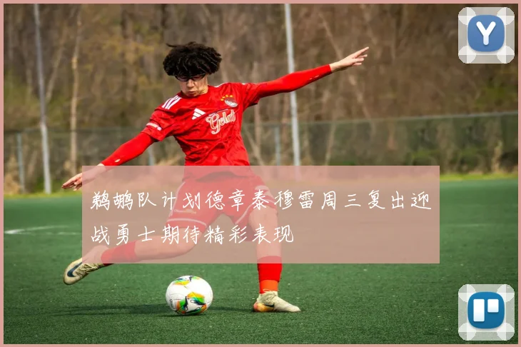 鹈鹕队计划德章泰穆雷周三复出迎战勇士期待精彩表现