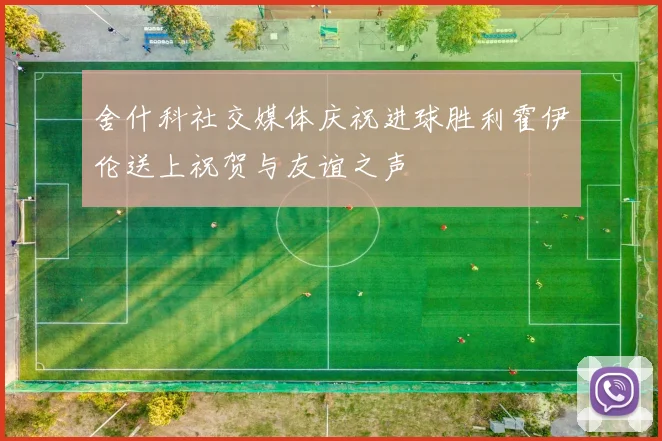 舍什科社交媒体庆祝进球胜利霍伊伦送上祝贺与友谊之声