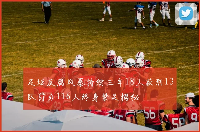 足坛反腐风暴持续三年18人获刑13队罚分116人终身禁足揭秘