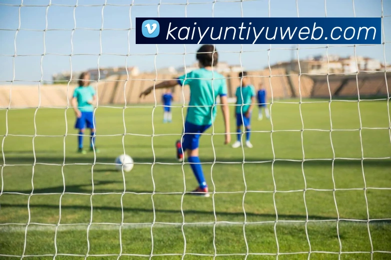 开云体育服务体系